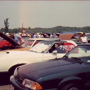My Mustang and My T-Bird at Englishtown