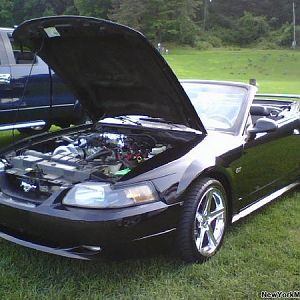 mustang4