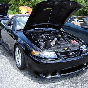 5992.jpg