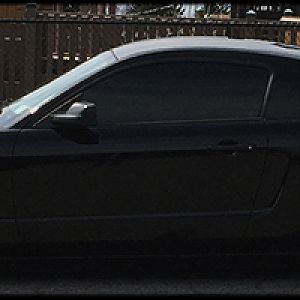 Count Stang2