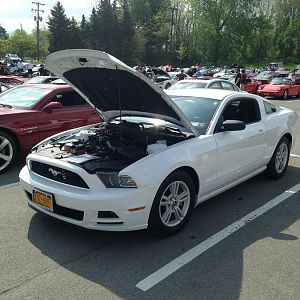 @greaser54