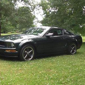 My Bullitt