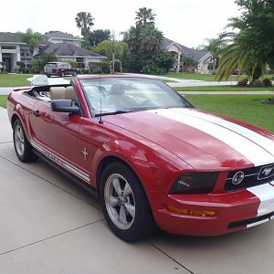 P4261080.JPGmustang