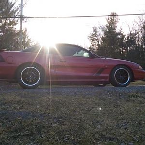 brandy black wheels
