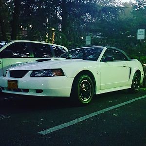 IMG 20160828 061859