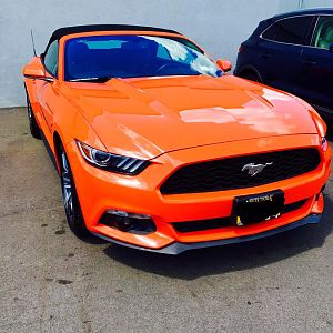 2016 Ecoboost Premium convertible. Yes 4cyl does still count!