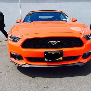 Taken right at the dealer!