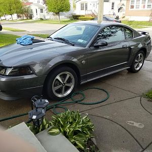 Freshly washed