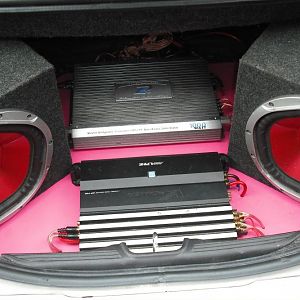 trunk