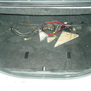 trunk 012