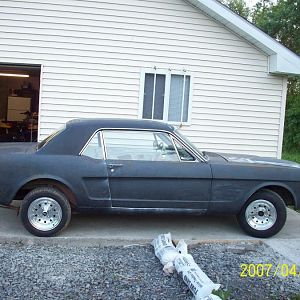 mustang june09