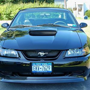 mustang4