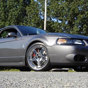cobra low 7
