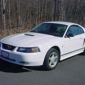 the Dealer photo