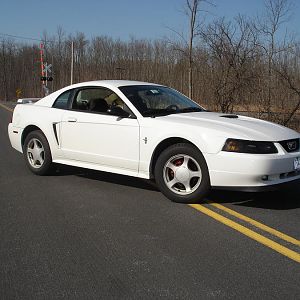 spring 09