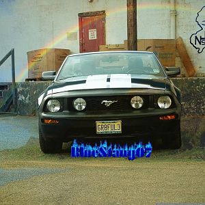 DSCF0177a