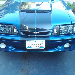 IMG00067 20091008 0847