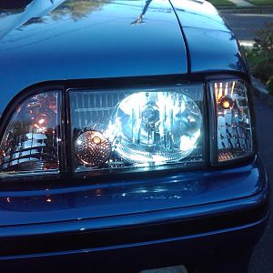 IMG00072 20091008 0851