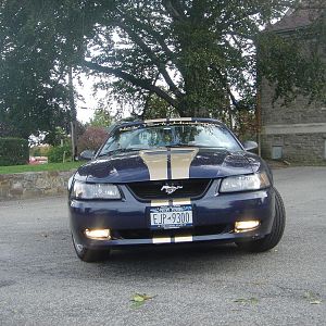 7235.jpg
