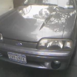 7399.jpg