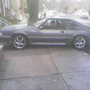 just brought it home