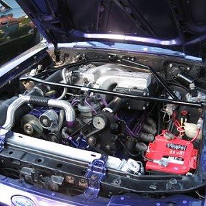 480 IMG 3628