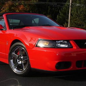My Cobra