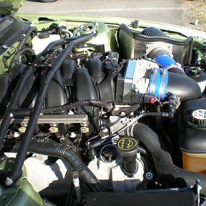 DSCN0350