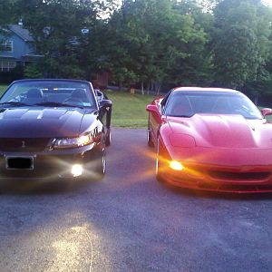 The Cobra and the Vette playing nice.