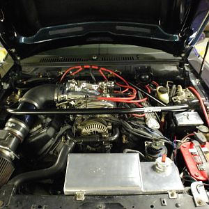 cobra 032