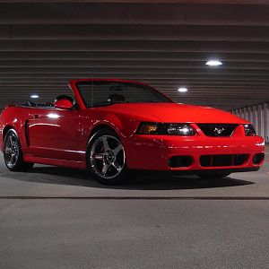 My Cobra