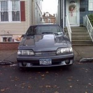 stang