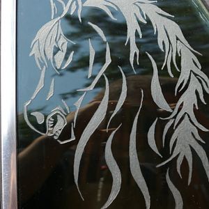 mustanghorse