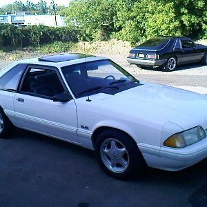 93 stang2