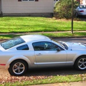 stang4