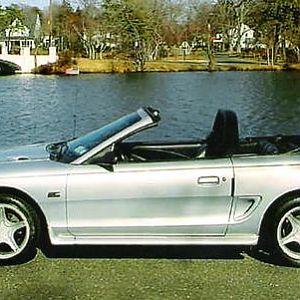 Second Mustang