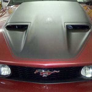 Functional scoops that line up directly with the supercharger... You can see it through the right scoop.