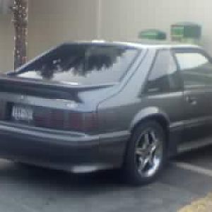 back shot