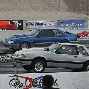8854.jpg