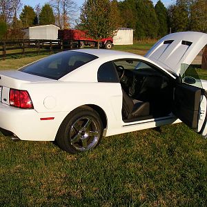 OW Cobra D