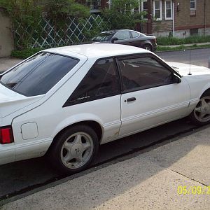 8974.jpg
