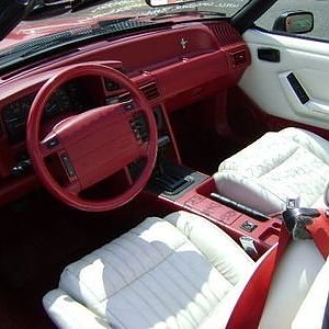 mustang3
