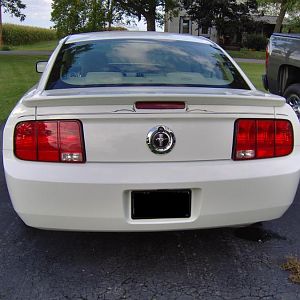 Musgtang rear