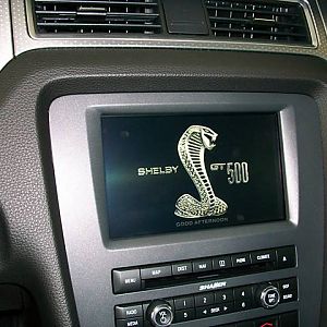 shelby5