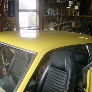 mustang 001