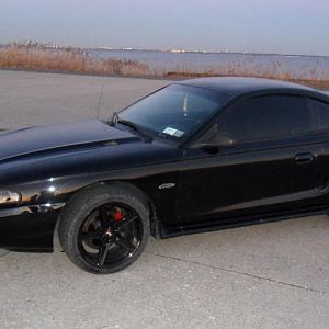 Mustang 045