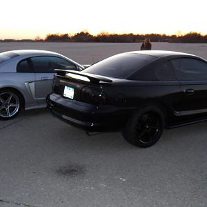 Mustang 040