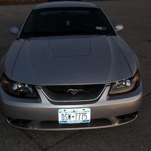 Mustang 048