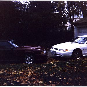 Gt & Cobra