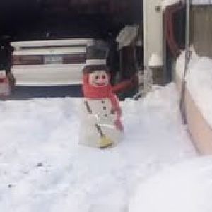 frosty the stang man